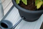 green basics tomato pot 33cm living black